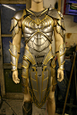 Dragon armour  by *DragonArmoury