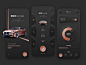 BMW Smart App Design