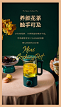 【荣事达RS-CH04A】荣事达（Royalstar）迷你养生壶养生杯煮茶器便携式办公室家用旅行烧水壶小型花茶壶 RS-CH04A【行情 报价 价格 评测】-京东