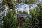 treehouse glasshouse: 1 thousand results found on Yandex Images