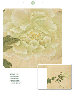 邹承海采集到工笔画