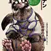 妖精森林的小不点漫画全集下拉：ハクメイとミコチ ワールドガイド 足下の歩き方 - 漫漫看漫画网