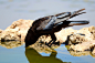 40062272735_cf76757556_k.jpg (2048×1365)