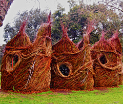 汉诺森采集到Patrick Dougherty