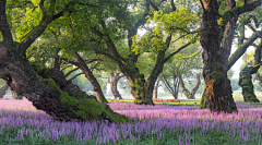 Mecay采集到场景素材