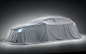 Image result for car covered by silk