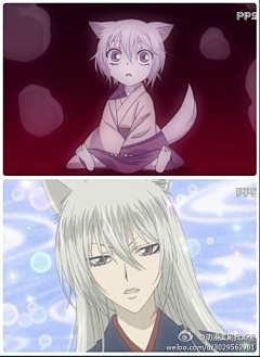 那些猫儿采集到巴卫是只野狐狸