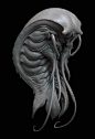 Isopod Creature Concept