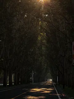 郑州八大封神之路 - 小红书