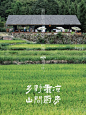 重庆山间咖啡馆|乡野下午茶，稻田无尽夏