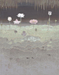 .

吉村诚司（Seiji Yoshimura） ​​​ ​​​​
