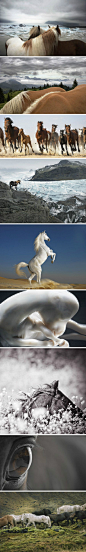 EQUUS – A TRIBUTE TO HORSES BY TIM FLACH-1
