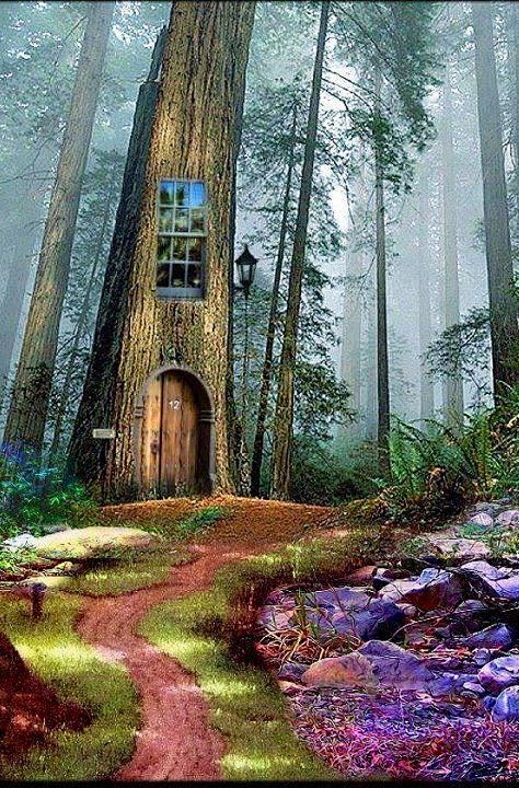 树屋，魔法森林
 Tree House,...