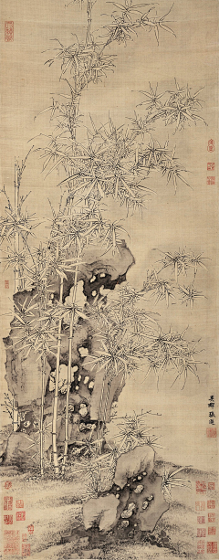 用户5CaI31S4采集到竹子