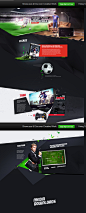 Fifa 2013 on Behance