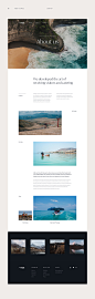 Behance :: 为您呈现