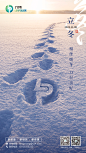 力博立冬海报