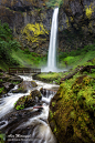 Elowah Falls / Водопад Эллоа :  Photographer professional Alex Mironyuk. Elowah Falls / Водопад Эллоа. Один из множества водопадов в Columbia River Gorge, ОрегонПриглашаю в свои авторские туры - http://alexmironyukphotography.com/ru/2017-tours-and-worksho