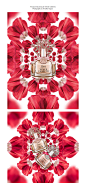 Vince Camuto