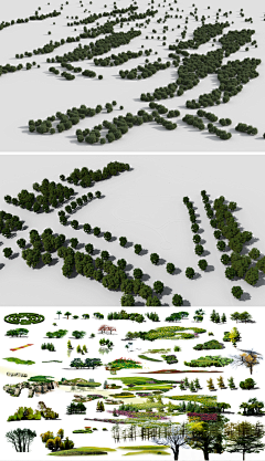 yyy12369874采集到植物素材