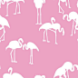 “Miami Addiction” by Maria Barros  (http://theglampad.blogspot.com/2013/04/fabulous-flamingo-wallpaper.html): 