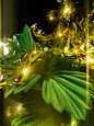 成分揭秘｜复苏力量 焕现年轻
阿玛尼前瞻精研，稀世甄选极境复苏传奇——「南非凤凰草」，十年干枯不死，滴水逾夜焕活。
阿玛尼黑钥匙面霜凝炼「南非凤凰草」精萃生命力，1小时修护屏障，焕醒脆弱倦容，肌肤紧致充盈。 #阿玛尼黑钥匙面霜
   #阿玛尼黑钥匙NAD