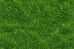 大自然的草丛贴图