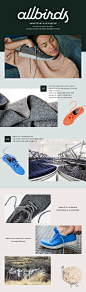 [WIZWID] Allbirds : 실리콘밸리 CEO 운동화! 세상에서 가장 편한 대세슈