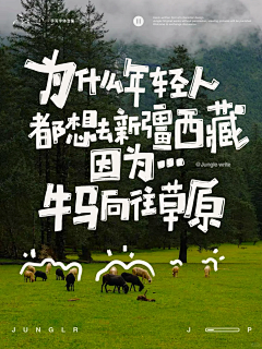 淡淡的忧伤11111采集到排字