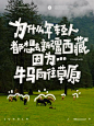 手写字手写大字报牛马打工人打工族 - 小红书