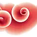 花live