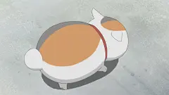 治愈系-夏目友人帐的照片 - 微相册