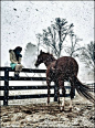 Waiting for Spring by Harun Mehmedinovic on 500px