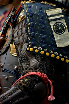 蝉衣不见了采集到和风