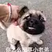隐藏一下