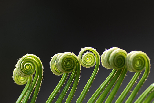 Earth_plant_465251