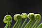 Earth_plant_465251