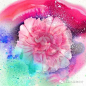 ​I&B插画丨只有插画师才看懂的花，甩99朵玫瑰五条街
