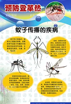 预防登革热宣传系列挂图海报  - 源文件下载【酷图网】预防登革热,登革热传单,登革热折页,三折页,海报,展板,宣传单张,健康宣传单,什么是登革热,登革热传播,登革热预防,登革热症状,登革热卡通,漫画,国家基本,公共服务,户外宣传单,防蚊,灭蚊,登革热广告,登革热海报,登革热宣传,伊蚊,卡通蚊子,长脚蚊,花蚊子,卡通医生,爱国卫生运动,挂图,科普