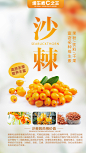 沙棘手机海报