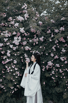 悠泽安采集到构图学习