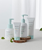 쇼핑하기 중분류 카테고리 소분류 카테고리 | Natural benefits from Jeju, innisfree