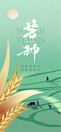 节气芒种海报-源文件分享-ywjfx.cn