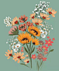 分享一组花主题插画设计，来自olivia victoria design ​​​​