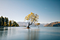 That Wanaka Tree by Kaitlyn McLachlan on 500px