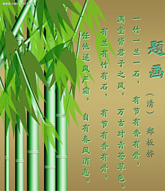 刘刘采集到竹林深处