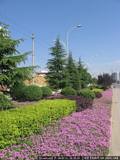 明月清风我wo采集到道路景观