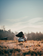  HD photo by Asa Rodger (@asarodger) on Unsplash : Download this photo by Asa Rodger (@asarodger)