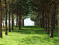 湖边童话般的林地花园 / Djao Rakitine Landscape Architecture – mooool木藕设计网