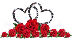 花朵 红色的 玫瑰 心 浪漫的 情人节 贺卡 装饰 剪出 孤立